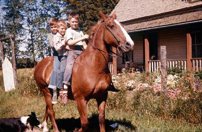 Greg, Dennis, Grant on Bess